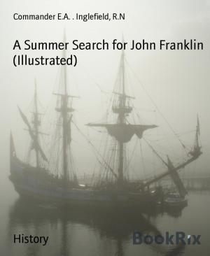 Book cover of A Summer Search for John Franklin (Illustrated)