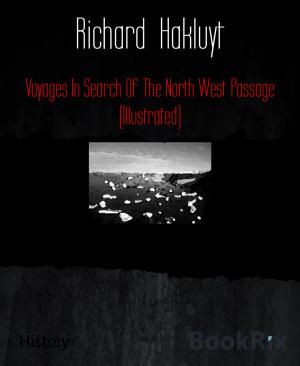 Book cover of Voyages In Search Of The North West Passage (Illustrated)
