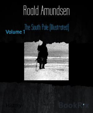 Book cover of The South Pole (Illustrated)