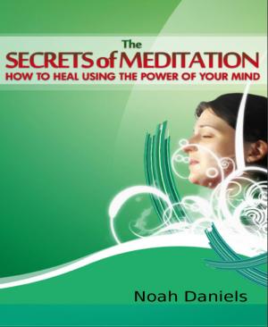 bigCover of the book The Secrets of Meditation by 