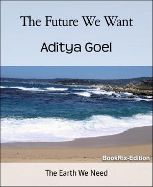 Cover of the book The Future We Want by Evelyn Everett-Green