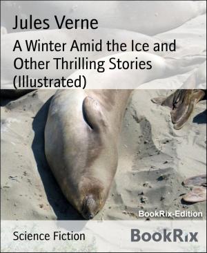 Cover of the book A Winter Amid the Ice and Other Thrilling Stories (Illustrated) by Francine Silverman