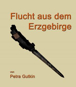Book cover of Flucht aus dem Erzgebirge