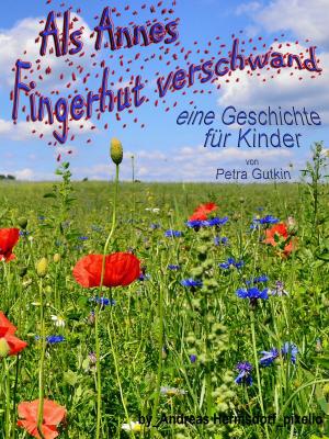 Cover of the book Als Annes Fingerhut verschwand by Günter Luible