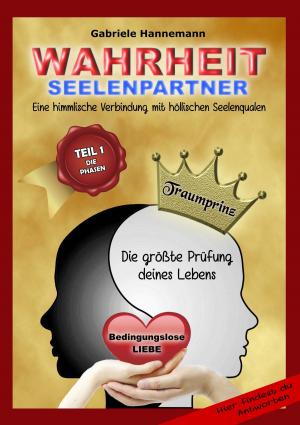 Cover of the book Wahrheit Seelenpartner Teil 1 (Die Phasen) by Heinz Kleger