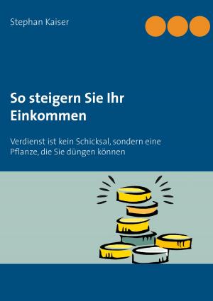 Cover of the book So steigern Sie Ihr Einkommen by Jürg Meier