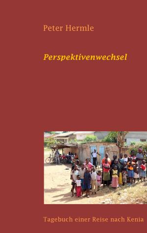 Cover of the book Perspektivenwechsel by Carsten Deckert
