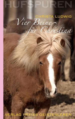Book cover of Hufspuren: Vier Beine für Christina