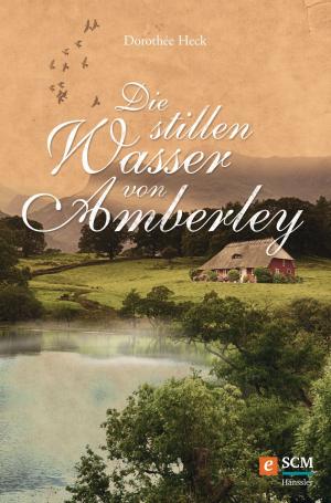Cover of the book Die stillen Wasser von Amberley by Jürgen Kuberski