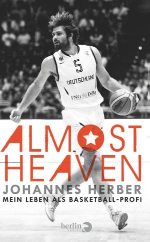Cover of the book Almost Heaven by Gerhard Falkner