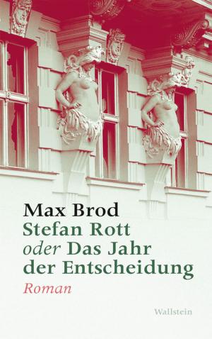 Cover of Stefan Rott oder Das Jahr der Entscheidung