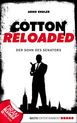 Book cover of Cotton Reloaded - 18