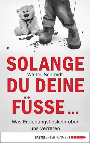 Cover of the book Solange du deine Füße... by Sissi Merz