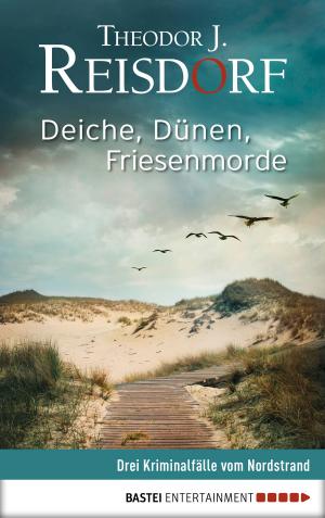 Book cover of Deiche, Dünen, Friesenmorde