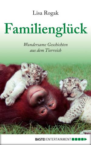 Book cover of Familienglück