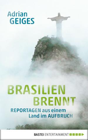 Book cover of Brasilien brennt