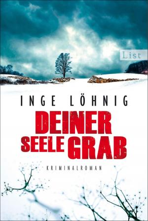 Cover of the book Deiner Seele Grab by Kathrin Weßling