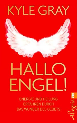 Book cover of Hallo Engel!