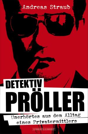 Cover of the book Detektiv Pröller by Hauke Brost
