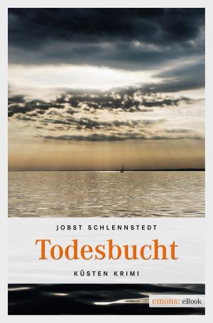 Cover of the book Todesbucht by Simone Tives