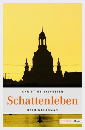 Cover of the book Schattenleben by Alexa Rudolph
