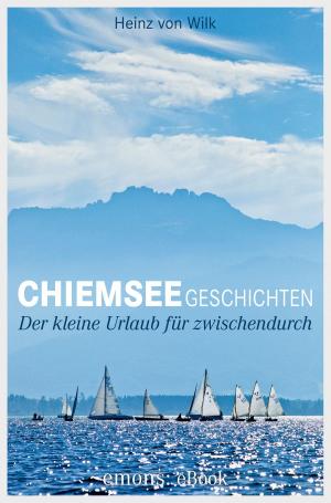 Book cover of Chiemseegeschichten