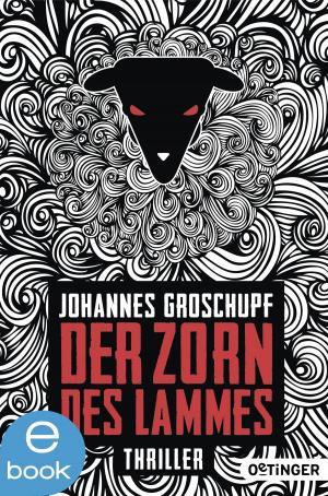 Cover of the book Der Zorn des Lammes by Johannes Groschupf, David B. Hauptmann