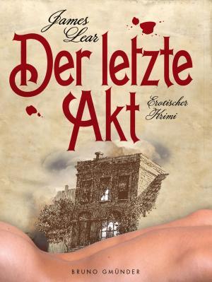 Cover of the book Der letzte Akt. Erotischer Krimi by Ishke Riva