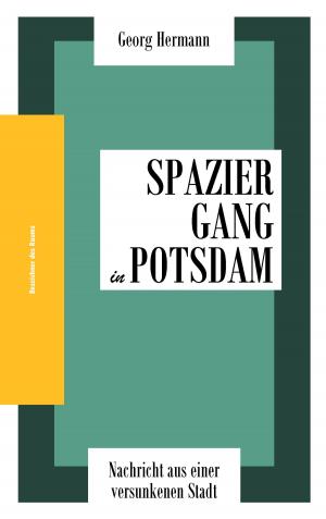 Cover of the book Spaziergang in Potsdam by Don Lichterman
