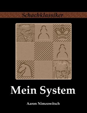 Cover of the book Mein System by Mikel Etcheverry