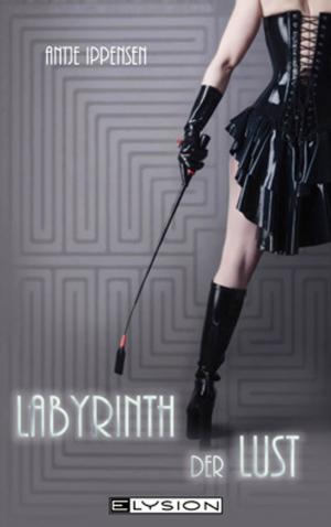 bigCover of the book Labyrinth der Lust by 