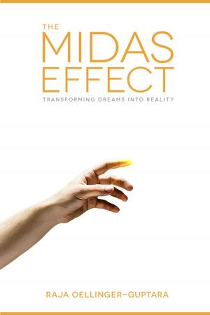 Cover of the book The Midas Effect by Brian Williams