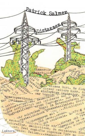 Cover of the book Distanzen by Patrick Salmen, Quichotte