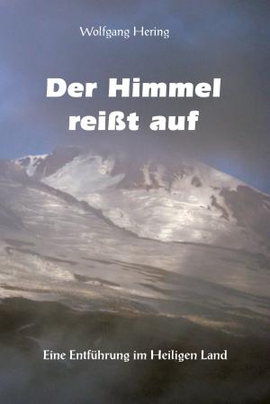 Cover of the book Der Himmel reißt auf by Margarete Hertrampf
