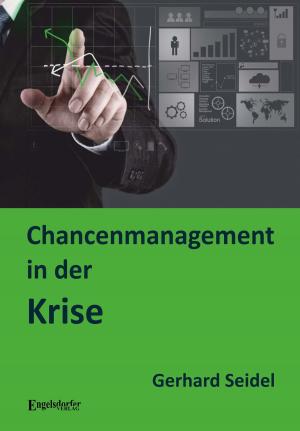 Cover of the book Chancenmanagement in der Krise by Jan Schäfer