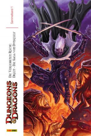 Book cover of Dungeons & Dragons Sammelband 1, Die Vergessenen Reiche