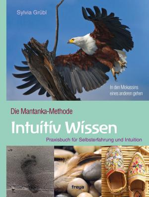 Cover of the book Intuitiv Wissen by Claudia Holl