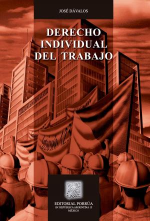 Cover of the book Derecho Individual del Trabajo by Raúl Chávez Castillo