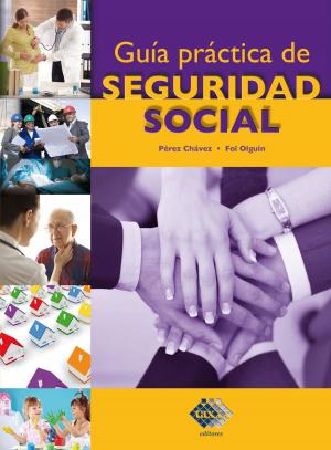 Cover of the book Guía práctica de Seguridad Social by Carlos Enrique Orozco Loya