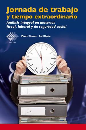 Cover of the book Jornada de trabajo y tiempo extraordinario by Carlos Javier Verduzco Reina, Juan Rabindrana Cisneros García