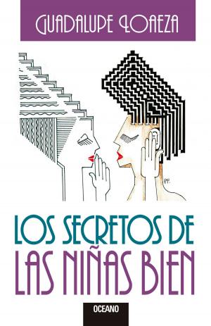 Cover of the book Los secretos de las niñas bien by Enrique Maza