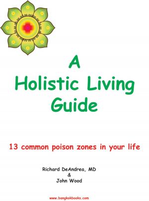 Book cover of A Holistic Living Guide