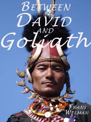 Book cover of Between David and Goliath