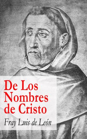 Cover of the book De Los Nombres de Cristo by Arthur Schopenhauer