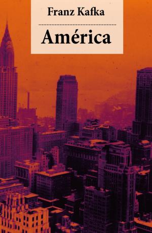 Book cover of América
