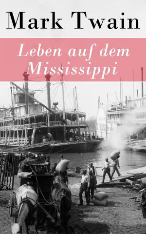 Book cover of Leben auf dem Mississippi