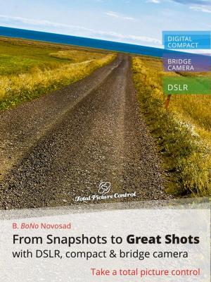Cover of the book From Snapshots to Great Shots with DSLR, Compact & Bridge Camera by Michelle Dujardin