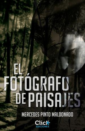 bigCover of the book El fotógrafo de paisajes by 
