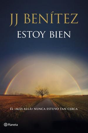 Cover of the book Estoy bien by David Boronat, Ester Pallarés