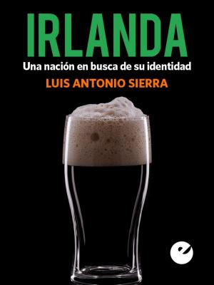 Cover of the book Irlanda by Jesús Hurtado Bodeleón, Bryant Creel